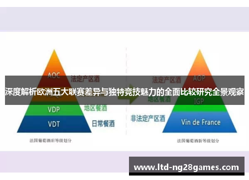 深度解析欧洲五大联赛差异与独特竞技魅力的全面比较研究全景观察 深度解析欧洲五大联赛差异与独特竞技魅力的全面比较研究全景观察